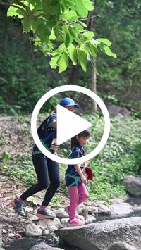 BIB:  <button type="button" onclick="openModal(28057887)" class="btn btn-primary btn-sm float-right" data-toggle="modal" data-target=".modal-high-quality">
                <i class="fa fa-download"></i> Download
                </button>